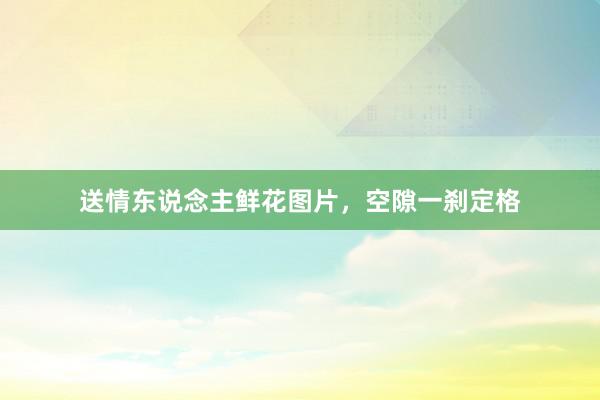 送情东说念主鲜花图片，空隙一刹定格