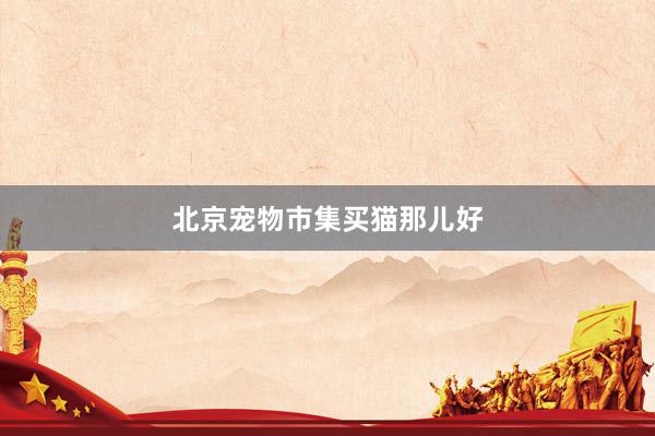 北京宠物市集买猫那儿好