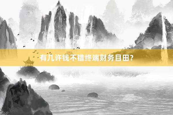 有几许钱不错终端财务目田?